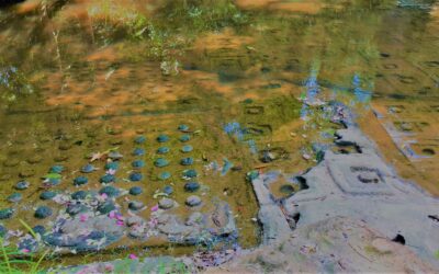 Healing Waters